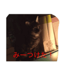 うちのコマ（個別スタンプ：2）