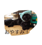 うちのコマ（個別スタンプ：8）