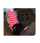 マルチーズの女の子、あさひちゃん（個別スタンプ：4）