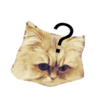 猫のスマイルスタンプ（個別スタンプ：2）