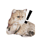 猫のスマイルスタンプ（個別スタンプ：6）