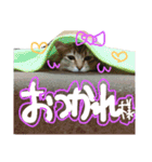 ショコちゃんスタンプ（個別スタンプ：4）