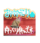 ショコちゃんスタンプ（個別スタンプ：6）