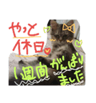 ショコちゃんスタンプ（個別スタンプ：10）
