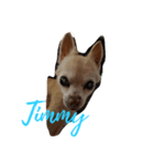 Timmy-aiai（個別スタンプ：2）