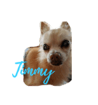 Timmy-aiai（個別スタンプ：6）
