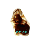 チワワのちゃいくんと仲間たち（個別スタンプ：24）