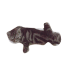 cat dogcat（個別スタンプ：4）
