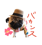 パグのあんこの日常2（個別スタンプ：22）