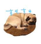 パグのあんこの日常2（個別スタンプ：23）