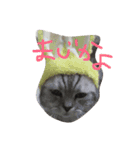 Nyanko's（個別スタンプ：1）