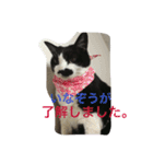 Nyanko's（個別スタンプ：4）