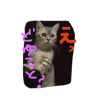 Nyanko's（個別スタンプ：8）