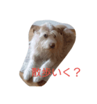 くーすたんぷ（個別スタンプ：6）