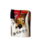 DAKS   only（個別スタンプ：7）
