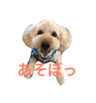 とと時々メル（個別スタンプ：1）