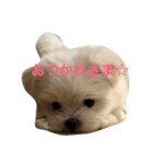 とと時々メル（個別スタンプ：8）