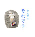 とと時々メル（個別スタンプ：9）