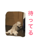 とと時々メル（個別スタンプ：11）