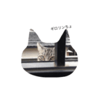 ぽろんとなつ（個別スタンプ：3）