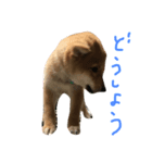 煮豆（個別スタンプ：2）