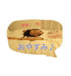 楽しいcocoちゃんだよ（個別スタンプ：6）