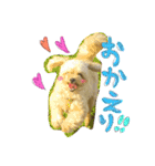 チワプーのかーるくん♫（個別スタンプ：13）