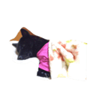 甲斐犬すずちゃん（個別スタンプ：1）