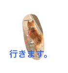 吉田家のチビ（個別スタンプ：10）