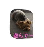 ロコのお願い（個別スタンプ：10）