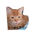 ito-chi（個別スタンプ：5）