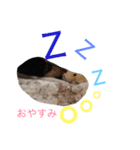 コロンさんの日常生活（個別スタンプ：4）