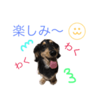 コロンさんの日常生活（個別スタンプ：6）