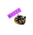 000cats0002（個別スタンプ：10）