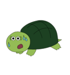 かめのまめちゃん（個別スタンプ：6）