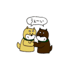 柴わんわん（個別スタンプ：37）