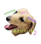for my day（個別スタンプ：3）