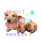 for my day（個別スタンプ：5）