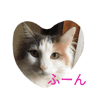 for my day（個別スタンプ：6）