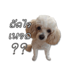 Happy Nulak（個別スタンプ：5）