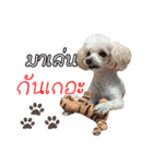 Happy Nulak（個別スタンプ：8）