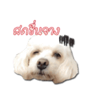 Happy Nulak（個別スタンプ：11）