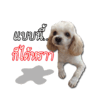 Happy Nulak（個別スタンプ：14）