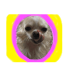 merosama（個別スタンプ：6）