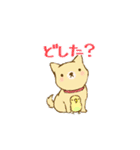 柴崎と飼い犬2（個別スタンプ：1）