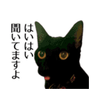 黒猫サイコー！（個別スタンプ：5）