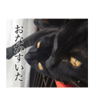 黒猫サイコー！（個別スタンプ：7）