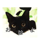 黒猫サイコー！（個別スタンプ：9）