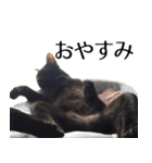 黒猫サイコー！（個別スタンプ：10）
