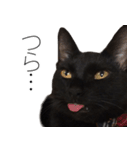 黒猫サイコー！（個別スタンプ：13）
